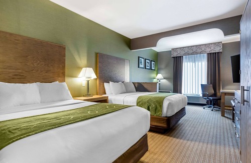 Southgate Hotel | Comfort Suites Southgate-Detroit
