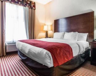 Troy Hotel | Comfort Suites Troy-I75
