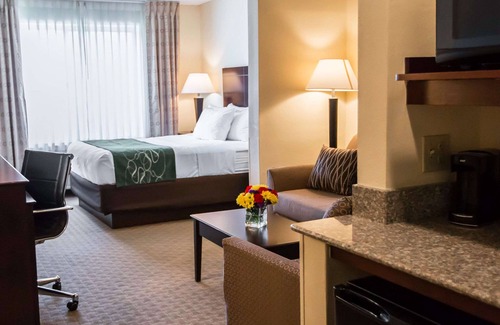 South Bend Hotel | Comfort Suites University Area Notre Dame - South Bend