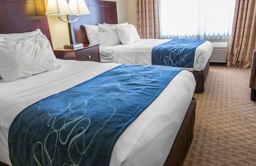 South Bend Hotel | Comfort Suites University Area Notre Dame - South Bend