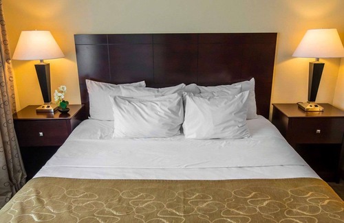 South Bend Hotel | Comfort Suites University Area Notre Dame - South Bend