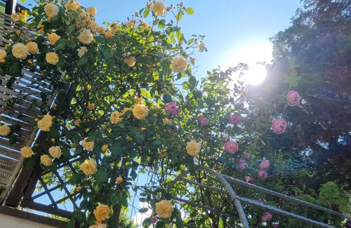 Waiblingen Apartment | Comfortable and cozy vacation apartment in Waiblingen near Stuttgart