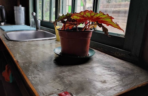 Benavidez Cabin | Comfortable and Very Beautiful Cabin Relax and Tranquility