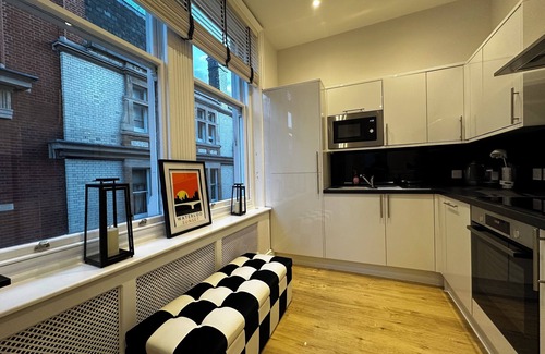London City Centre Apartment | Comfortable Large Spacious Luxury Apartment close to Leicester Square/tourist
