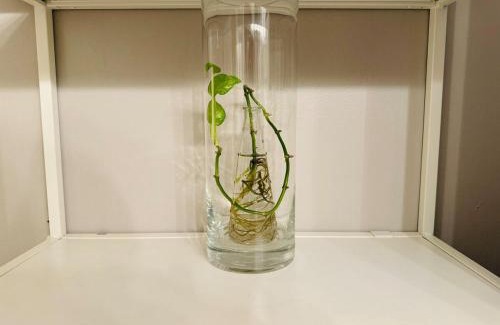 Riverside House | Comfy beds Wifi Bars Cafes Food in Riverside