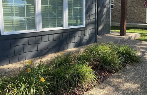 Fayetteville Cottage | Comfy, new cottage minutes from university campus, Dickson Street/downtown.