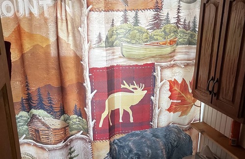 Boonville House | Complete serenity stream side 5 mi from Booneville.