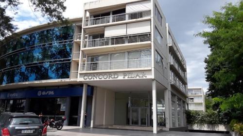 La Lonja Apartment | Concord Pilar Suite Almendros