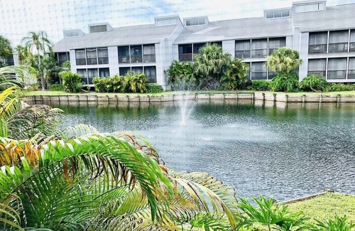 Venice Gardens Condo | Condo Close To The Beach