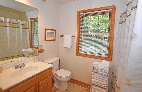 Empire Apartment | Condo in the woods with a firepit, washer/dryer, partial AC, & furnished deck