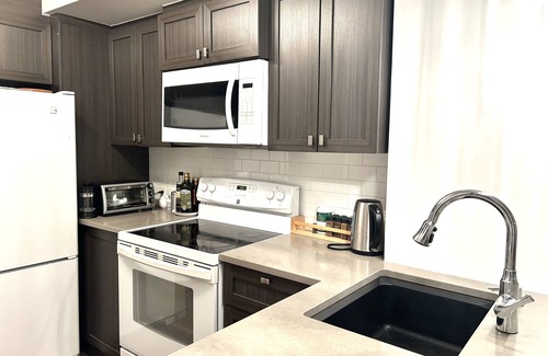Viauville Condo | Condo Olympique MTL/Sunny condo near the Olympic stadium!