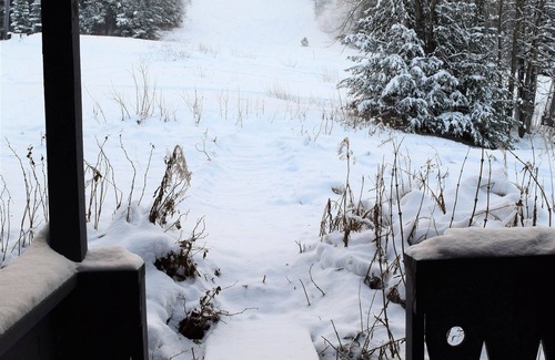 Alyeska Apartment | Condo with stunning views near shops and restaurants with immediate ski access