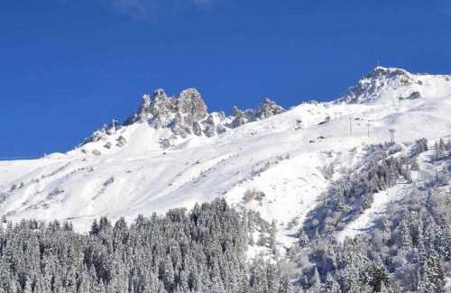 Meribel-Mottaret Apartment | Confortable 2 Pièces avec Balcon, Wi-Fi et Animaux admis - FR-1-182-7