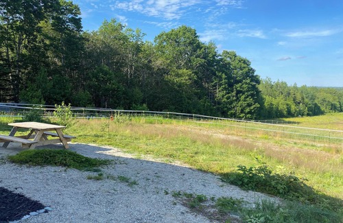 Franklin House | Connect with nature - quiet and peaceful modern ranch in Eastbrook