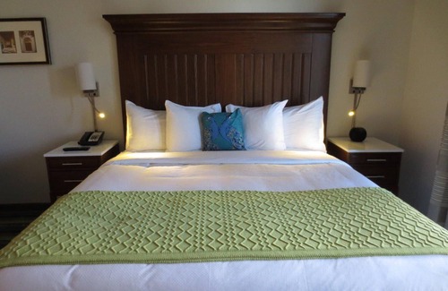 Winter Park Hotel | Contemporary Award Winning Hotel w/Rooftop Close to Parks & Rollins College