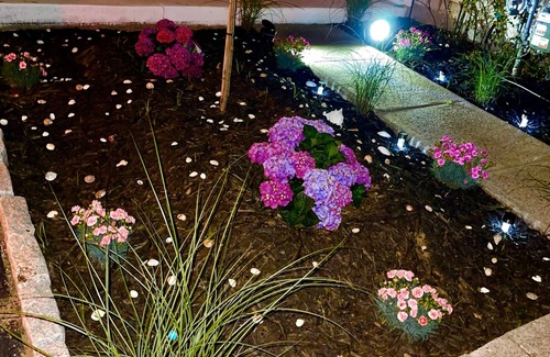 North Eastham House | Contemporary Cape Getaway: Perfect Beachside Vacation for 10!