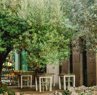 Alvados Hotel | Cooking and Nature - Emotional Hotel