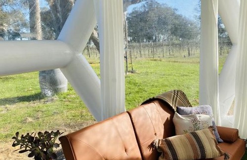 Comaum Other | Coonawarra Hampton Bubble 2