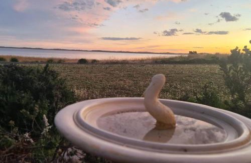 Bonney House | Coorong Lakeside Cottage