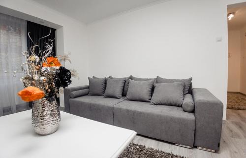 Alba Iulia Apartment | CooZee Apartment