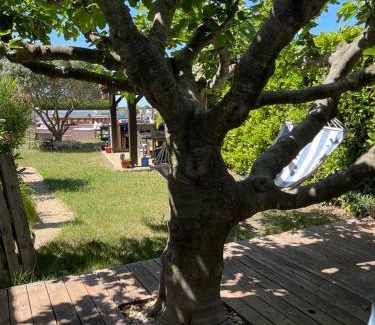 Montagnac-Montpezat Bed & Breakfast | Coquelicot