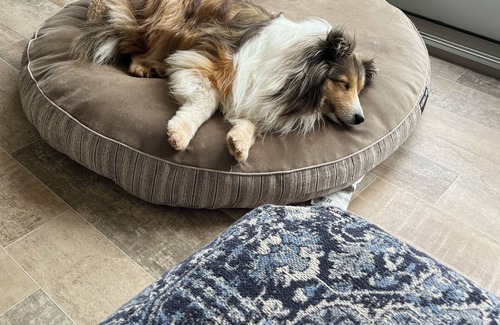 Prince County Cottage | Cora's ocean air Cottage