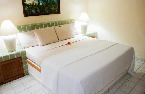 Ixtapa Hotel | Coral Ixtapa