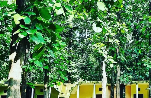 Mohaan Cabin | Corbett JungleInn Riverside Jungle Retreat Camp