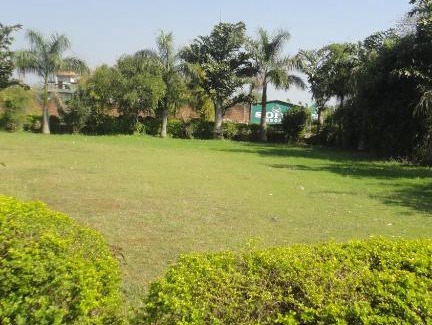 Nainital Hotel | Corbett Pool & Cottages