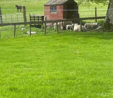 Lanark House | Corehouse Farm Cottages - Dairy, Granary & Sawmill