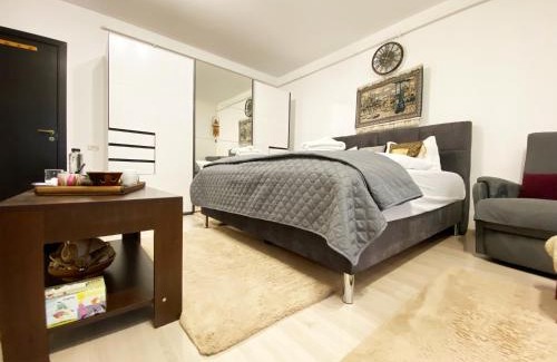 Sinpetru Apartment | Coresi Escape Studio