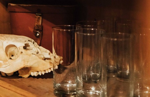 Tuscola Cabin | Coronado's Cabin on Elm Creek