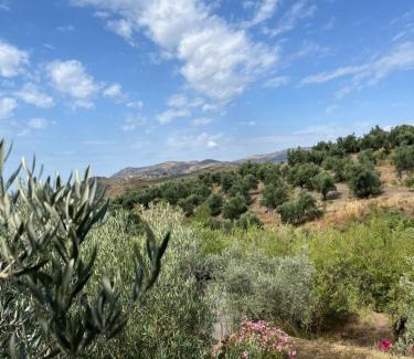 Lanjaron Other | Cortijo alhijra big yourte