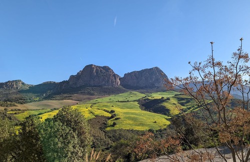 Riogordo Bed & Breakfast | Cortijo Sylvestre, Your place to relax and explore