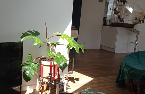 Millau Apartment | Cosi downtown apartment.