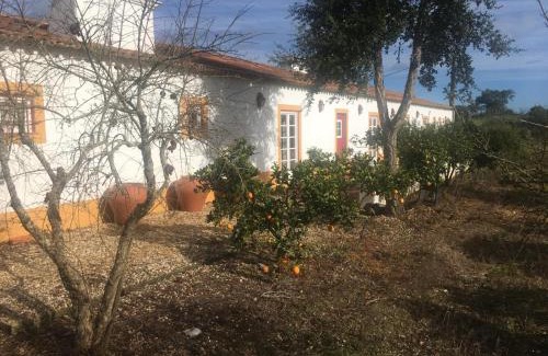 Santiago do Cacem House | Costa Vicentina Monte Cailogo