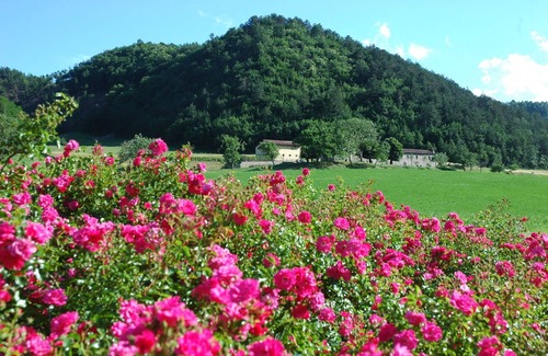 Marradi Apartment | Cosy apartment for 4 guests with pool, WIFI, TV, pets allowed, panoramic view and parking