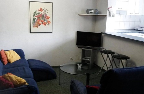 Fiesch Apartment | Cosy apartment for 5 guests with WIFI, TV and pets allowed