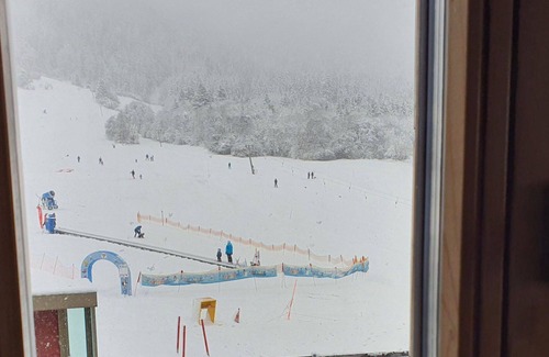 Grisons Apartment | Cosy apartment for 8 guests with WIFI, TV and balcony