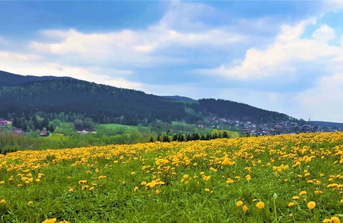 Hohenwarth Apartment | Cosy apartment for 10 people with WIFI, TV, terrace, pets allowed and parking