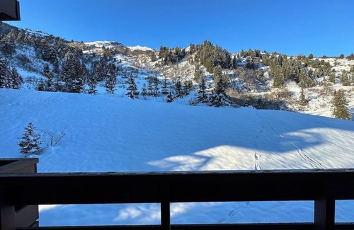 Meribel-Mottaret Apartment | Cosy apartment of 22m2 with 1 bunk bed area and 1 living room with sofa in the Hameau du Mottaret