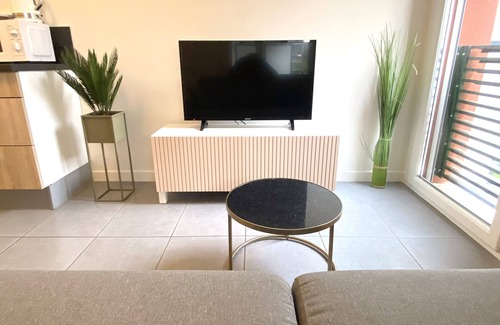 Thonon-les-Bains Apartment | Cosy appartement 1 room; 5 minutes foot to downtown and thermal center.