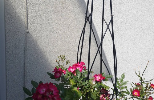Llanrhidian Higher House | Cosy boutique style BnB suite with parking