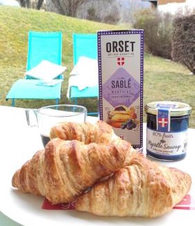 Giez Apartment | Cosy du Birdie Logement 4 pers avec piscine