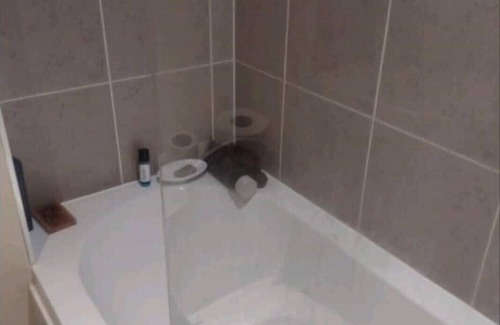 Offerton Apartment | Cosy full apartment 1 bed & 2 sofa beds Stockport