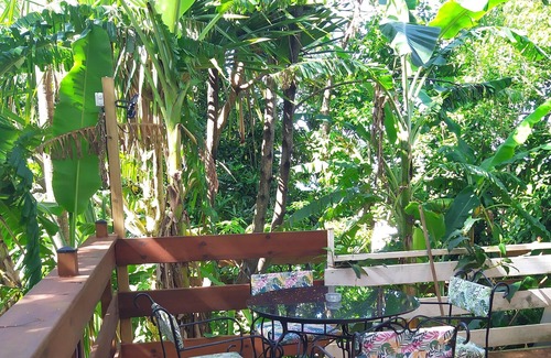 Basse Vallee Cabin | Cosy garden hut