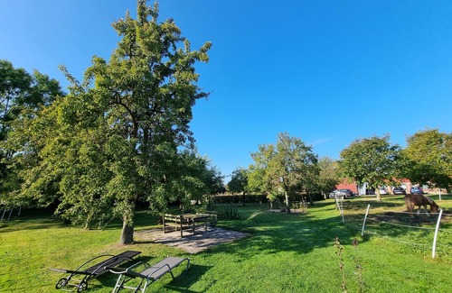 Hasselberg Apartment | Cosy holiday apartment in Hasselberg