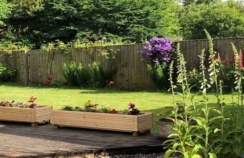 Markinch Cabin | Cosy Log Cabin, FIFE near St. Andrews/Edinburgh