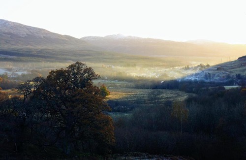 Killin Cabin | Cosy Rowan woodland lodge no1
