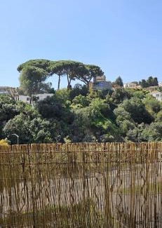 Riou - Petit Juas - Av de Grasse Apartment | Cosy T4 walk to Center, Festivals,Congress,Beach